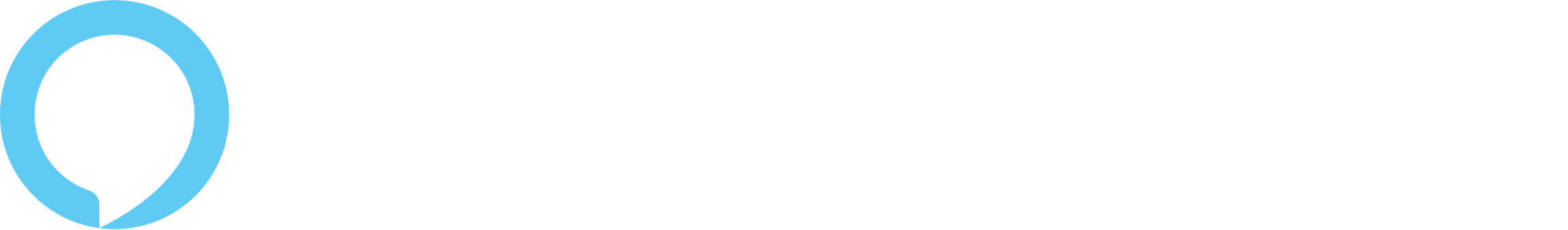 Palm Coast Amazon Alexa skill